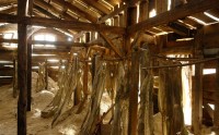 http://www.kredo.me/files/gimgs/th-20_mBadehaus-Ruine23.jpg