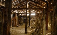 http://www.kredo.me/files/gimgs/th-20_mBadehausRuine34.jpg